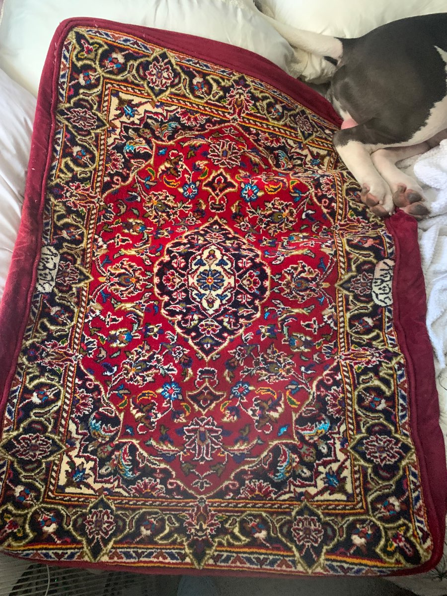 Small Iranian Kashan Design Wool and Silk Rug