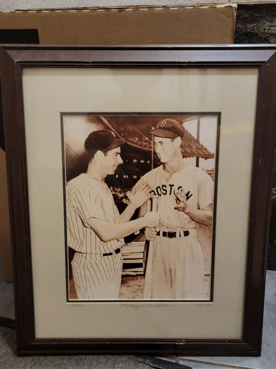 Framed Vintage Baseball Prints and Architectural Wall Art Collection